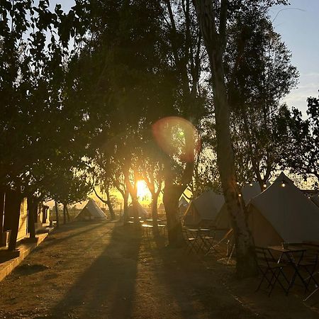 Camping Delta Natura La Tancada Amposta Exterior foto