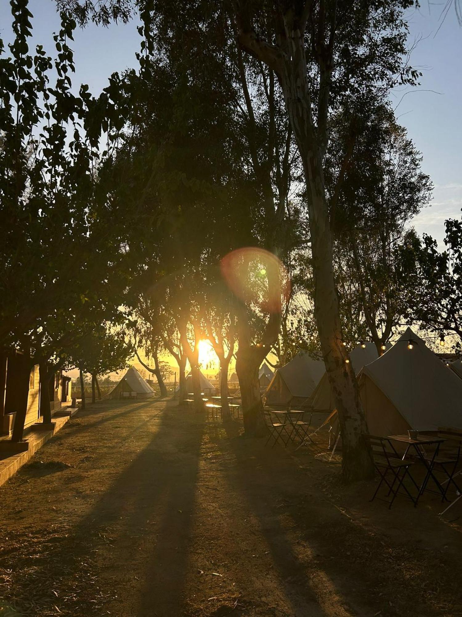 Camping Delta Natura La Tancada Amposta Exterior foto